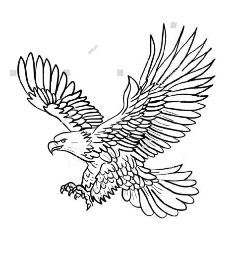 ঈগল এর সিম্বল 